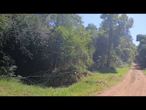 VIDEO CHACRA SAN JAVIER MISIONES