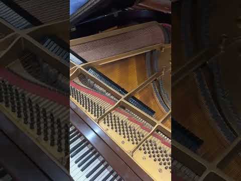Steinway & Sons Model M Grand Piano – Golden Age image 11