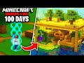I Survived 100 Days In A 1x1 EXPANDING BORDER In Hardcore Minecraft