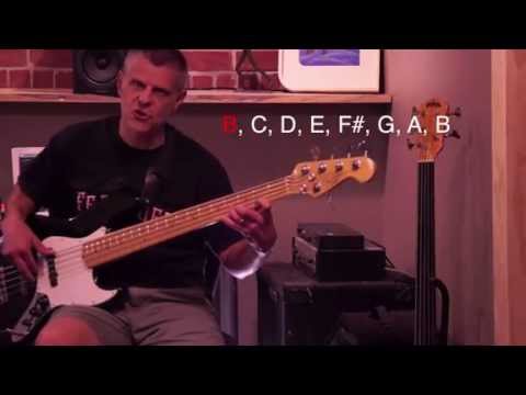 How to Build Melodic Bass lines