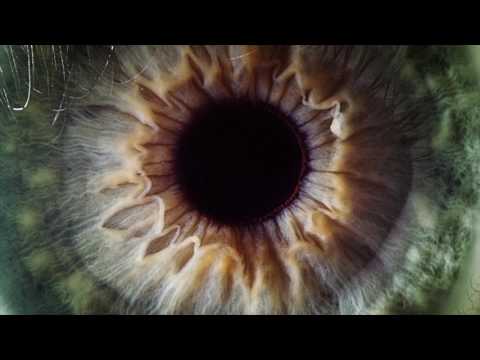 Burgs : Let us all take responsibility for our presence here