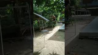 Download lagu Cara Menambah Tinggi Lompatan Voli #Shorts mp3 Download lagu Cara Menambah Tinggi Lompatan Voli #Shorts mp3