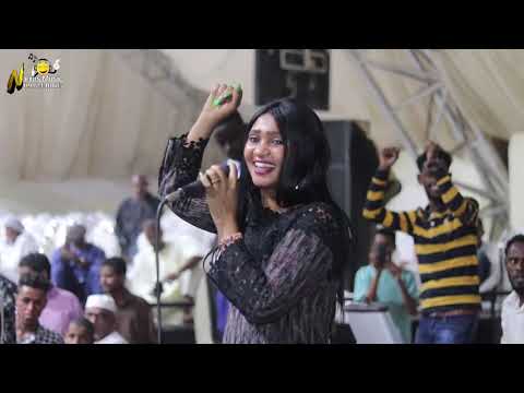 عشة الجبل - بشيركي  - واقفه صبة - اغاني سودانية 2020