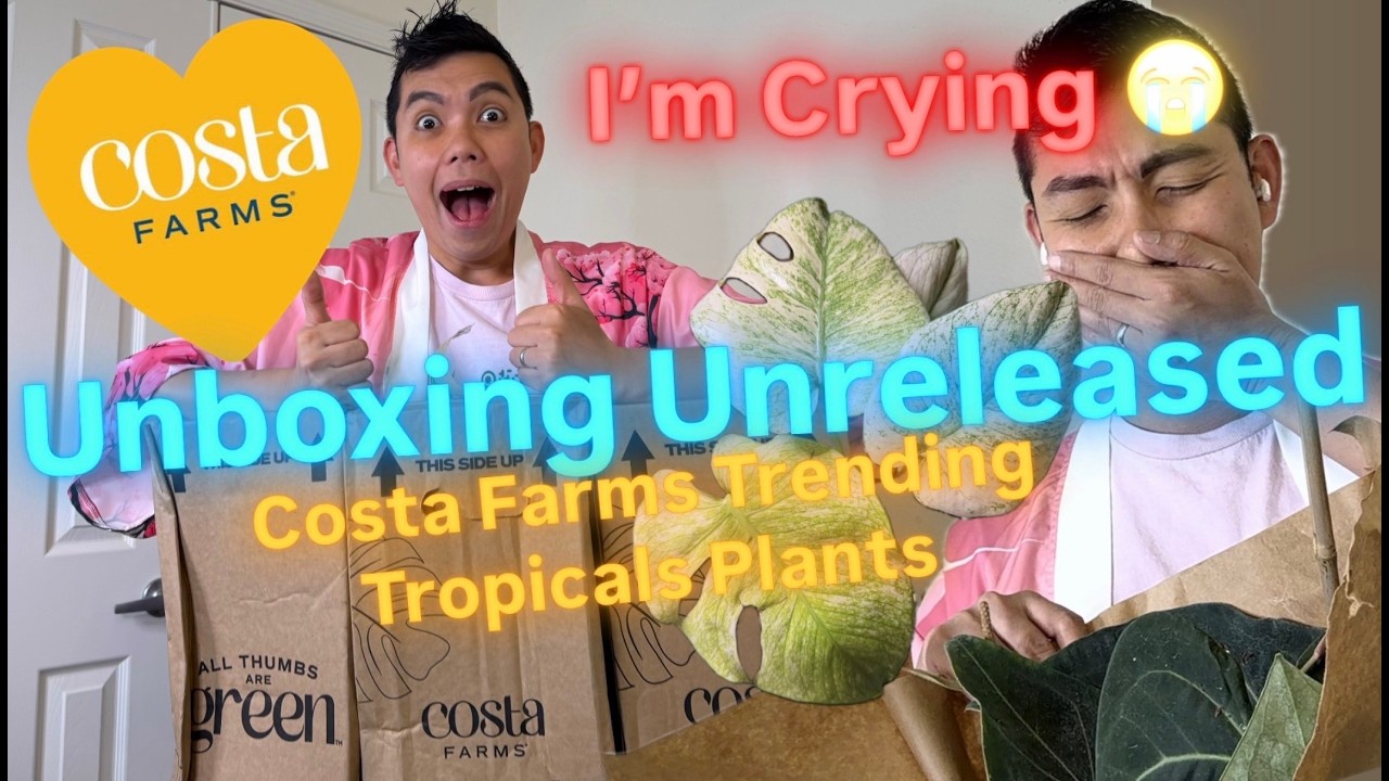 Unboxing the UNRELEASED Rarest Costa Farms Trending Tropicals: Top Secret Anthurium Hybrid MUST HAVE