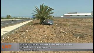 Un coche lleva un mes empotrado en una palmera