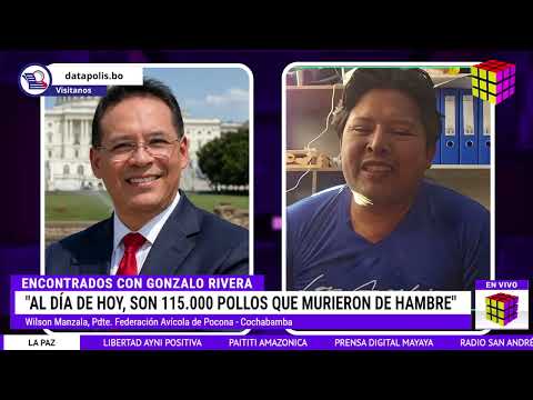 115 mil pollos murieron por hambre en Pocona a causa de los bloqueos