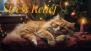 Stress Relief Cat Purring and Fireplace Sound | Peaceful Evening Ambience