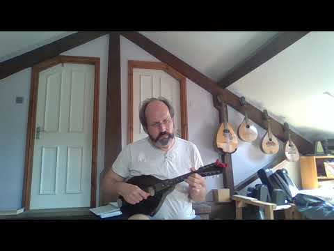 An Páistín Fionn (Trad. Irish air), mandolins, mandocello, guitar