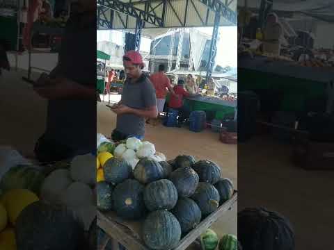 feira livre de Souto Soares tem de tudo