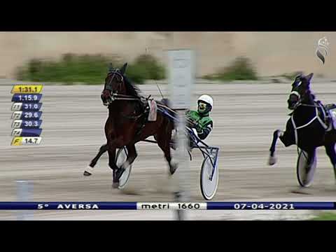 Aversa trotto 7 Aprile 2021 - 5° Corsa