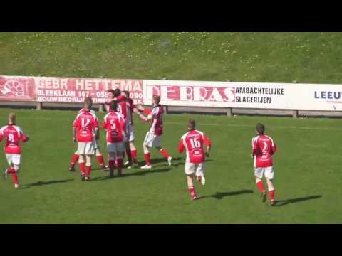 Leeuwarder Zwaluwen   Oeverzwaluwen