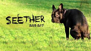 seether - weak subtitulado/Lyric