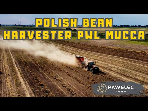 🇵🇱 Polish Bean Harvester PWL Mucca 🌱 | Seeking Partners Across Europe! 🌍