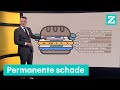 Wat heeft Poetin te winnen met voldoen aan westerse voorwaarden? • Z zoekt uit