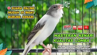 Download lagu Kenari GACOR NGEREK‼️ Masteran Kenari PAUD dan Pancingan Kenari MACET BUNYI dan Betina NGIWIR - 230 mp3