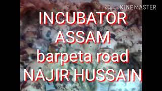 preview picture of video 'INCUBATOR ASSAM barpeta road +919678252744/9435843237'