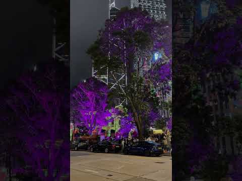 Hong Kong Christmas Lights Show 2025