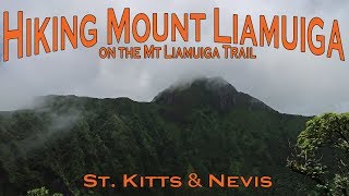 Hiking Mount Liamuiga on the Mt Liamuiga Trail - St. Kitts & Nevis