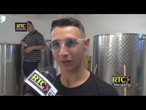 Istituto Agrario di Catanzaro, dove da 100 anni si impara anche a fare il vino - RTC Canale TV 78