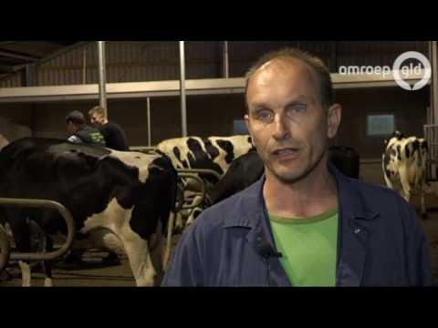 GLD VANDAAG 31 mei 2016 - Omroep Gelderland