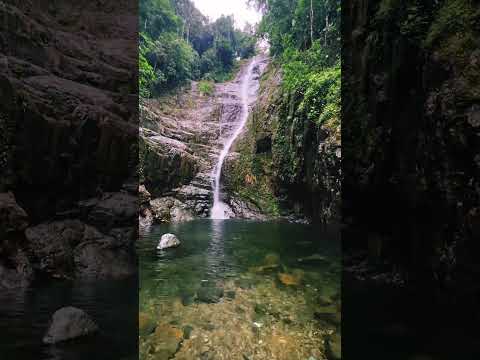 El Gran Zapanal del Cantón La Maná ECUADOR 🇪🇨 #travel  #cascada #nature