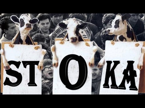 Grupa JNA - STOKU NA JUG *** OFFICIAL SPOT ***