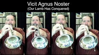 Michael Card - Vicit Agnus Noster  Brass Quartet arrangement