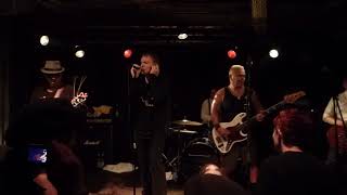 The Dickies - Nights in white satin/Goldmine/golden boys - Hafenklang, Hamburg - 24.07.2018