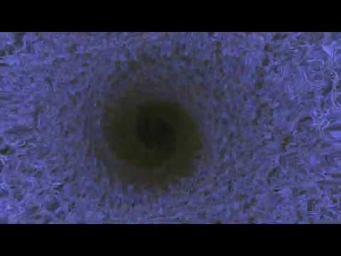 The Lost Tribe - S18 (Music Visualizer)