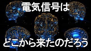 電気信号はどこから来たのだろう