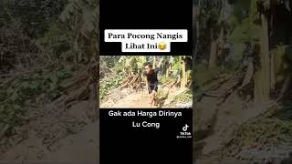 Download lagu apes pocong kapok mp3