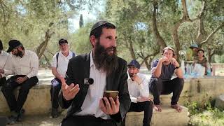 האם מותר לשבור את הצום בשביל לעלות להר הבית בתשעה באב? האם מותר לטבול בצום בשביל לעלות להר? (ישיבת הר הבית) - התמונה מוצגת ישירות מתוך אתר האינטרנט יוטיוב. זכויות היוצרים בתמונה שייכות ליוצרה. קישור קרדיט למקור התוכן נמצא בתוך דף הסרטון