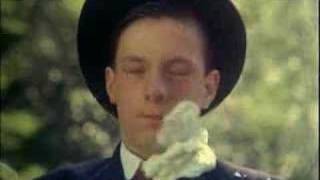 Bugsy Malone（1976） -  Bugsy Malone