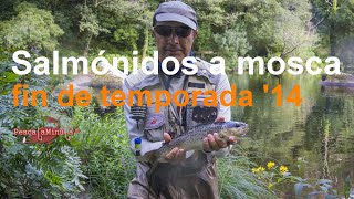 Salmónidos a mosca - resumen temporada '14