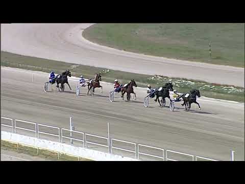 Napoli Trotto 08/09/2023 - prova di qualifica