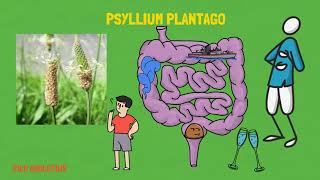 PSYLLIUM PLANTAGO | PARA QUÉ SIRVE