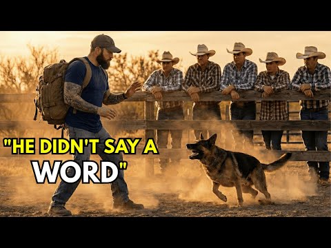 Personne ne pouvait dompter la bête — jusqu'à ce que le vétéran utilise un ordre silencieux appri...