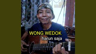 Download lagu WONG WEDOK (Acoustic) mp3 Download lagu WONG WEDOK (Acoustic) mp3