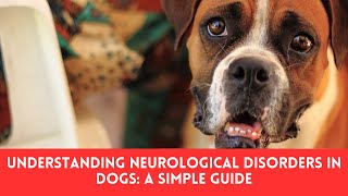 Understanding Neurological Disorders in Dogs