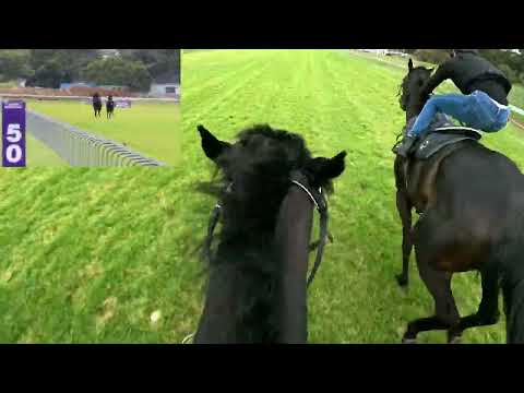 Gallop with Richard Fourie aboard Gr2 Debutante winner CALA MURETTA