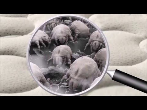 Die Gründe des Entstehens der Schuppenflechte bei den Erwachsenen Skin kap von atopitscheskogo der Hautentzündung bei den Kindern