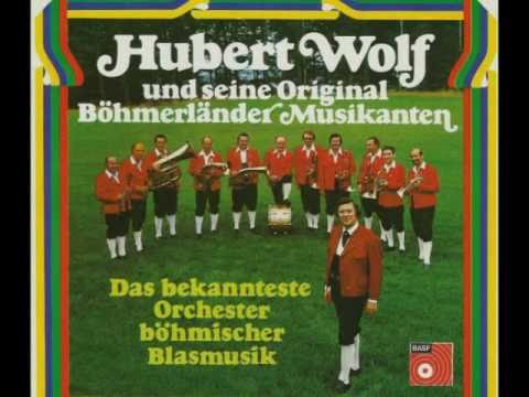 Hubert Wolf - Hast a Geld - hast fei nix