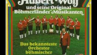 Hubert Wolf - Hast a Geld - hast fei nix