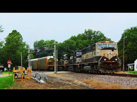 Progress Rail 9555 leads NS 319 (ft. NS 1069)