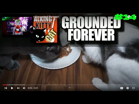 Roxanne Wolf REACTS to Talking Kitty Cat Part 14