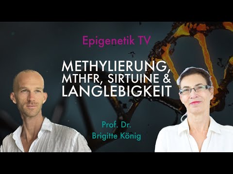 Methylierung, MTHFR, Sirtuine & Langlebigkeit mit Prof. Dr. Brigitte König