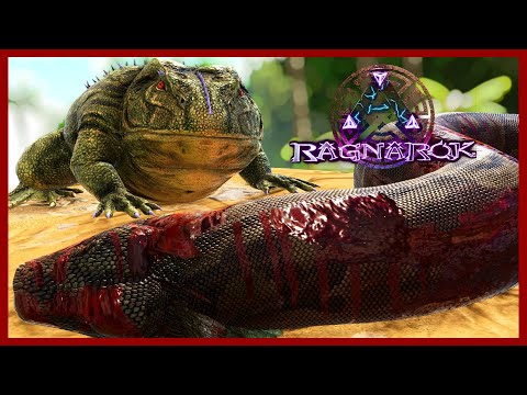 Feeding Creatures to a Beelzebufo! 3 Perfect Tames! Immersive Ark! Ep 12! Ragnarok Map!