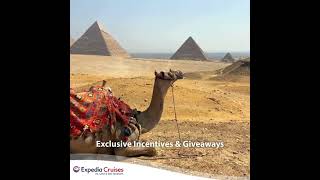 Viking Cruises | Quick Look for Scottsdale Travelers