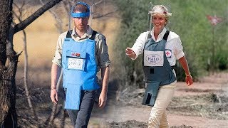 video: Prince Harry speaks of 'emotional' journey to Princess Diana's Angolan landmine fields as he retraces steps 22 years on