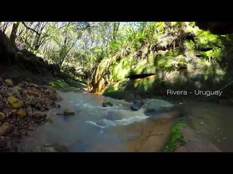 Puntas de Cuñapirú   Rivera , Uruguay ❤❤